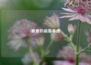 疲惫的祖鲁希德