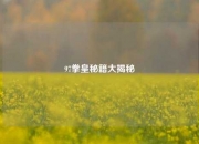 97拳皇秘籍大揭秘