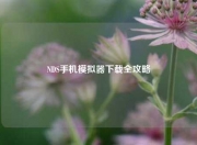 NDS手机模拟器下载全攻略