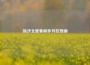 扬沙戈壁奏响岁月狂想曲