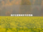 扬沙戈壁奏响岁月狂想曲