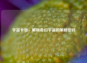 宇宙卡组,解锁奇幻宇宙的策略密码