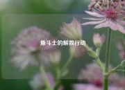 角斗士的解救行动