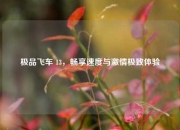 极品飞车 13，畅享速度与激情极致体验