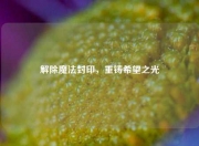 解除魔法封印，重铸希望之光