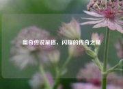 奥奇传说星格，闪耀的传奇之星