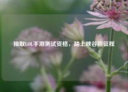 抽取LOL手游测试资格，踏上峡谷新征程