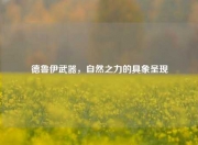 德鲁伊武器，自然之力的具象呈现