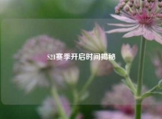 S21赛季开启时间揭秘