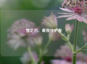 雪之刃，寒夜守护者