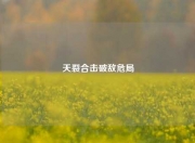 天裂合击破敌危局