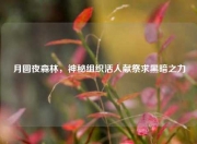 月圆夜森林，神秘组织活人献祭求黑暗之力