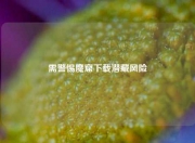 需警惕魔窟下载潜藏风险