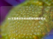 2021王者周年庆时间揭秘与精彩看点