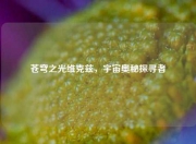 苍穹之光维克兹，宇宙奥秘探寻者