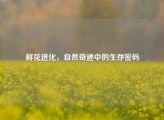 鲜花进化，自然奇迹中的生存密码