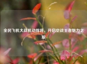 全民飞机大战机动悍将，开启空战王者魅力之旅