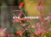 尾火棍，一段传奇的故事