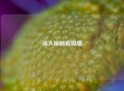 深入探秘捣捣塔