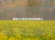 揭秘WOW黄金龙的神秘魅力