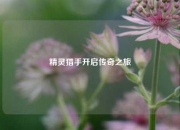 精灵猎手开启传奇之旅