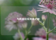 九阴真经瓜州青之秘