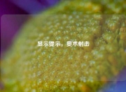 显示提示，奥术射击