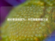 甜心果酒湖配方，开启甜蜜微醺之旅