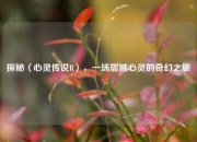 探秘〈心灵传说R〉，一场震撼心灵的奇幻之旅