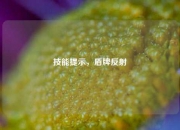 技能提示，盾牌反射