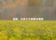 宙斯，众神之王秘籍全揭秘