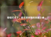 昏暗灯光下，陌生房间里的苏醒之痛