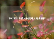 梦幻西游坐骑成长提升之路全解析