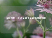 深度剖析,WOW圣骑士天赋选择与应用