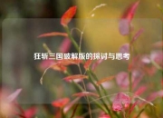 狂斩三国破解版的探讨与思考