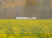 探秘神秘的urjj之旅