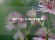 御龙在天,马匹获取全攻略