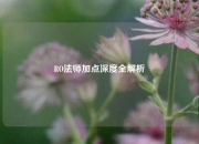 RO法师加点深度全解析