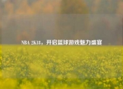 NBA 2K18，开启篮球游戏魅力盛宴