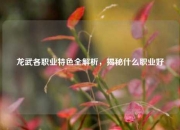 龙武各职业特色全解析，揭秘什么职业好