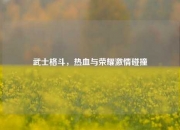 武士格斗，热血与荣耀激情碰撞