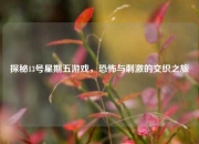 探秘13号星期五游戏,恐怖与刺激的交织之旅