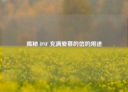 揭秘 DNF 充满爱慕的信的用途