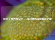 探秘〈魔界战记4〉，奇幻魔界深度冒险之旅