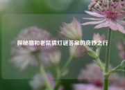 探秘猫和老鼠猜灯谜答案的奇妙之行