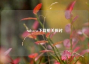 Subverse下载相关探讨