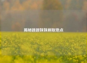 揭秘跳跳妹妹刷取地点