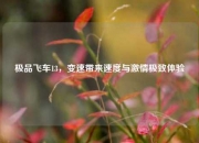 极品飞车13，变速带来速度与激情极致体验