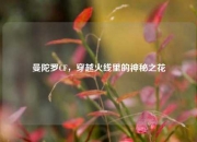 曼陀罗CF，穿越火线里的神秘之花