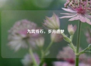 九霄残石，岁月遗梦